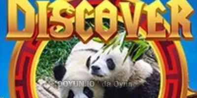 online Discover China oyna