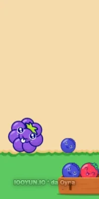 online Fruit Party oyna