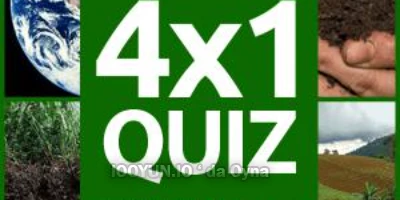 online 4x1 Picture Quiz oyna