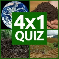 online 4x1 Picture Quiz oyna